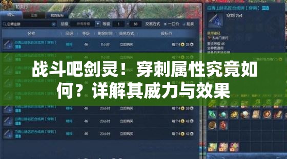 战斗吧剑灵！穿刺属性究竟如何？详解其威力与效果