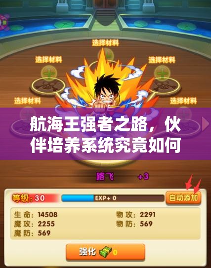 航海王强者之路，伙伴培养系统究竟如何助力成为海贼王？