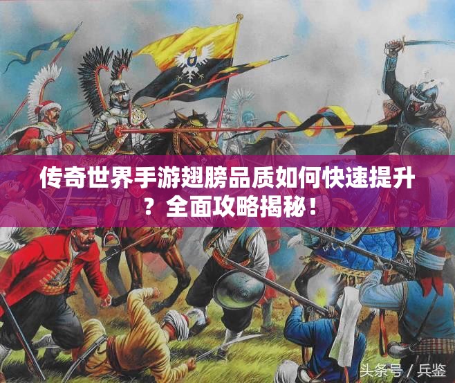 传奇世界手游翅膀品质如何快速提升？全面攻略揭秘！