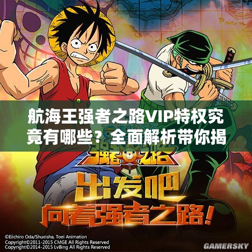 航海王强者之路VIP特权究竟有哪些？全面解析带你揭秘！