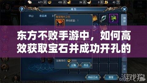 东方不败手游中，如何高效获取宝石并成功开孔的秘密解析？