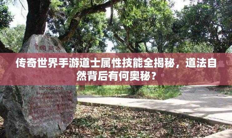 传奇世界手游道士属性技能全揭秘，道法自然背后有何奥秘？