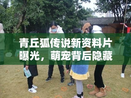 青丘狐传说新资料片曝光，萌宠背后隐藏的秘密你知道吗？