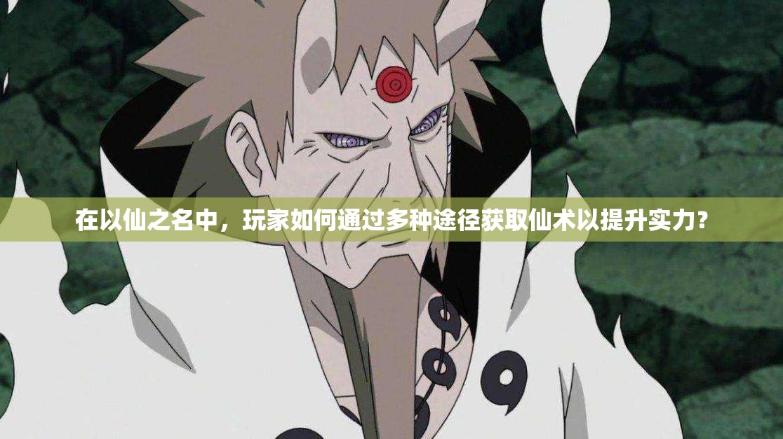 在以仙之名中，玩家如何通过多种途径获取仙术以提升实力？