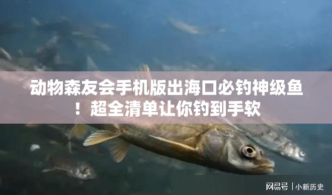 动物森友会手机版出海口必钓神级鱼！超全清单让你钓到手软