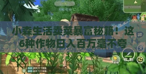 小森生活卖菜暴富秘籍！这6种作物日入百万毫不夸张！